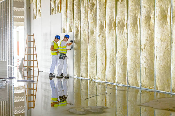 Best Cellulose Insulation in Union Grove, WI
